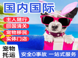 贵阳机场快递国际宠物托运 【国